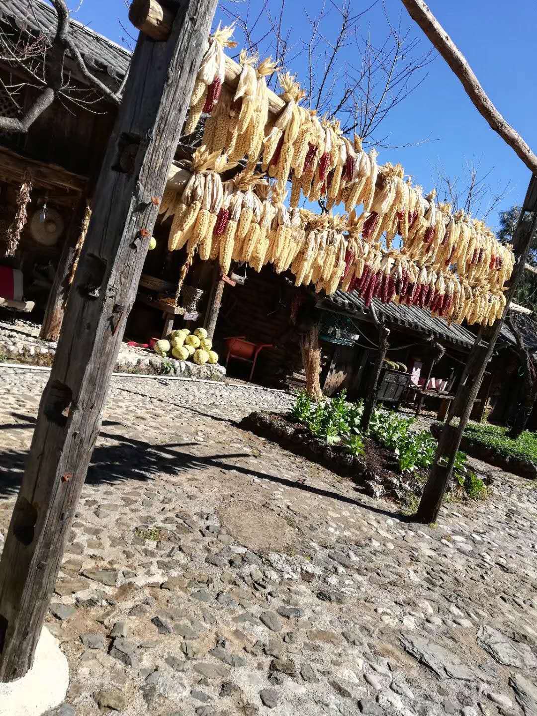 東巴萬(wàn)神園