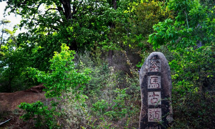 麗江茶馬古道文海徒步路線