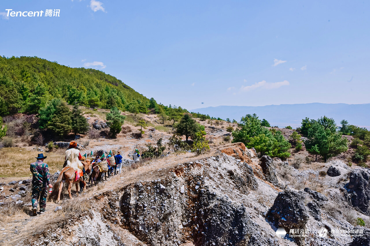 麗江玉湖村茶馬古道徒步團(tuán)建