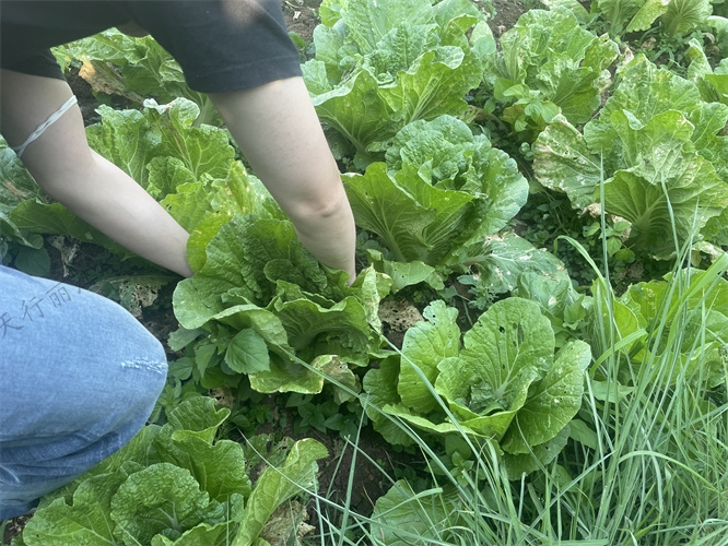 麗江納西生活體驗團建