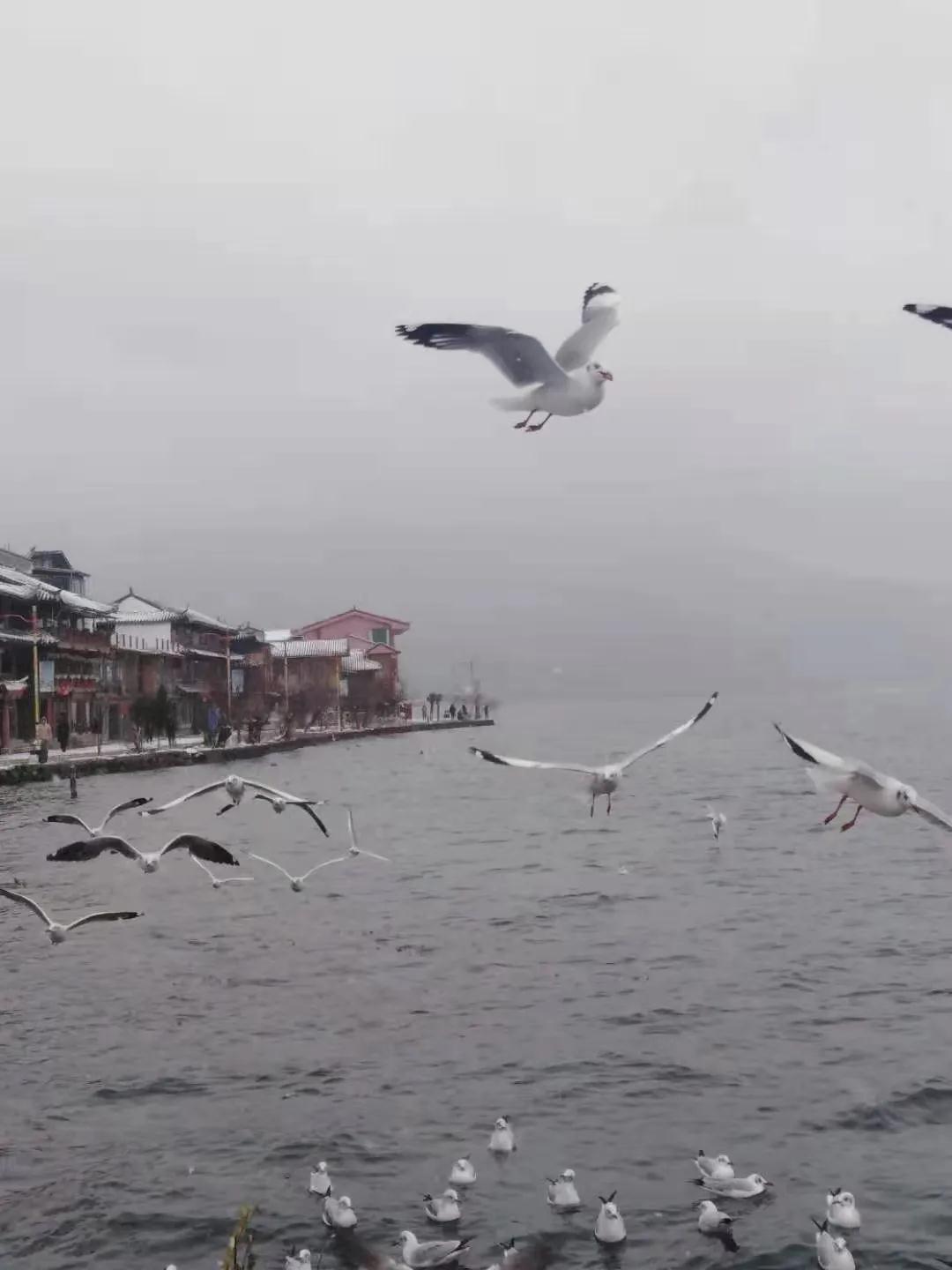 瀘沽湖